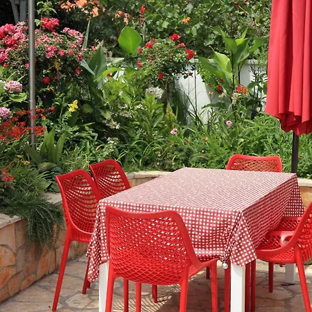 Maraschino Zadarvillas * Vir
